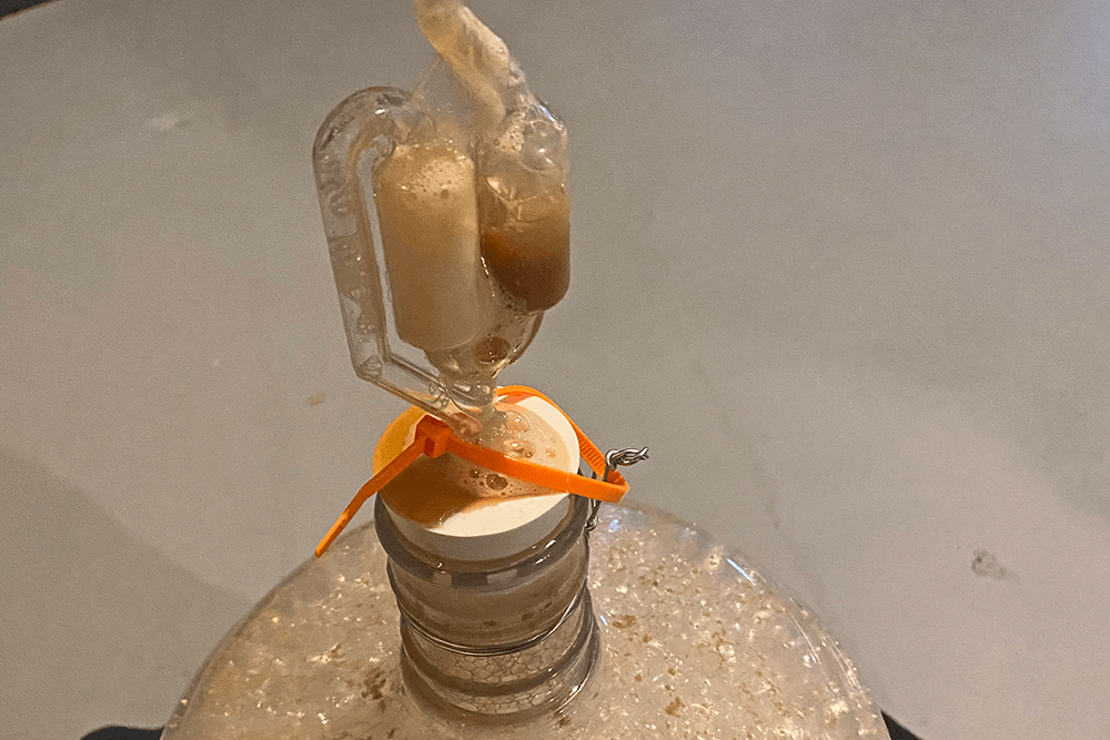 bubbling fermentation 2